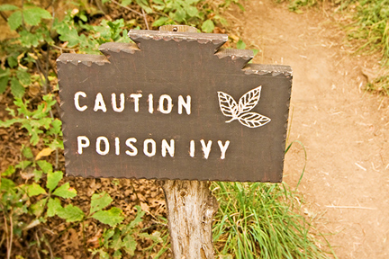 poison-ivy-wp